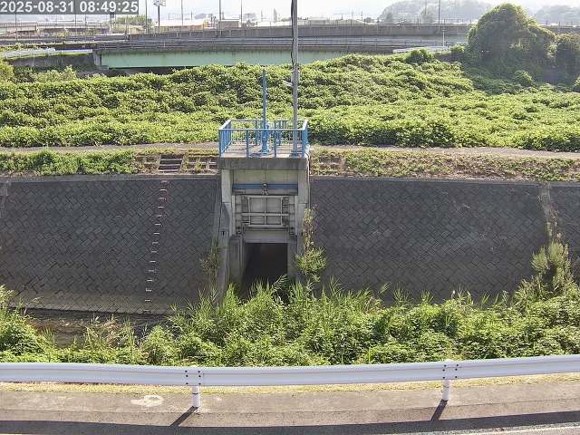 大路川４2025/08/31 11:20:00