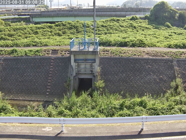大路川４2025/08/31 11:20:00