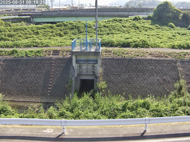 大路川４2025/08/31 11:20:00