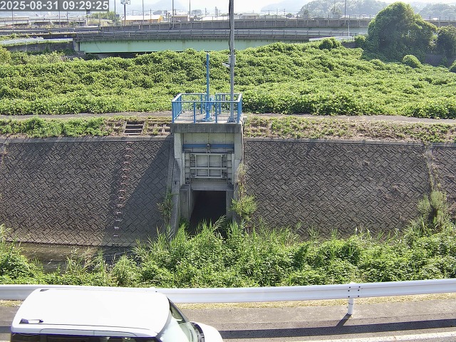 大路川４2025/08/31 11:20:00