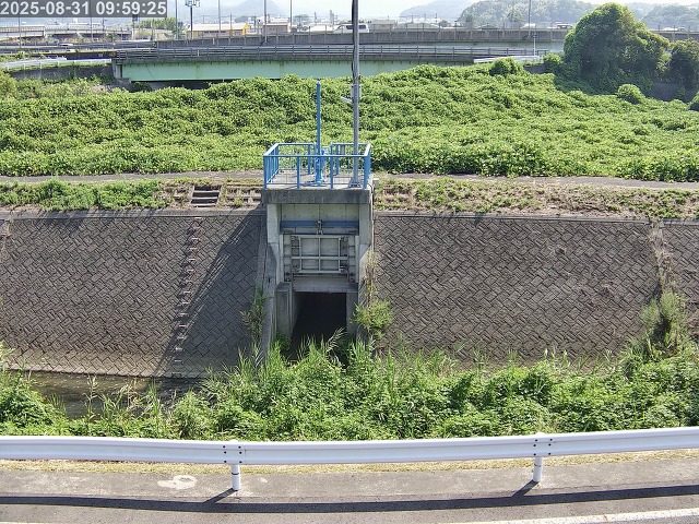 大路川４2025/08/31 11:20:00