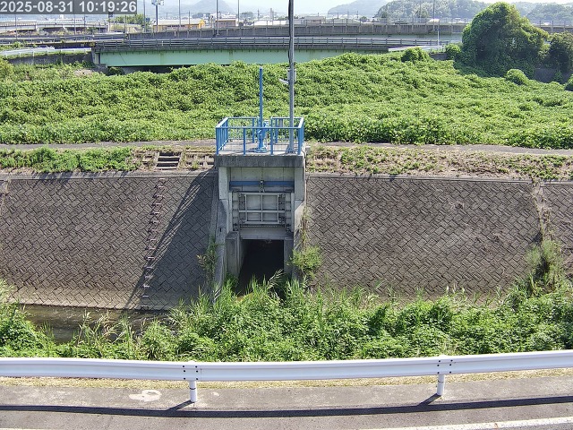大路川４2025/08/31 11:20:00