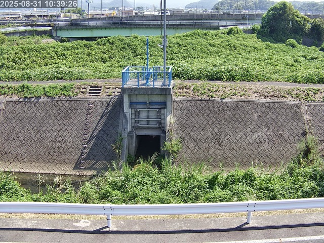 大路川４2025/08/31 11:20:00