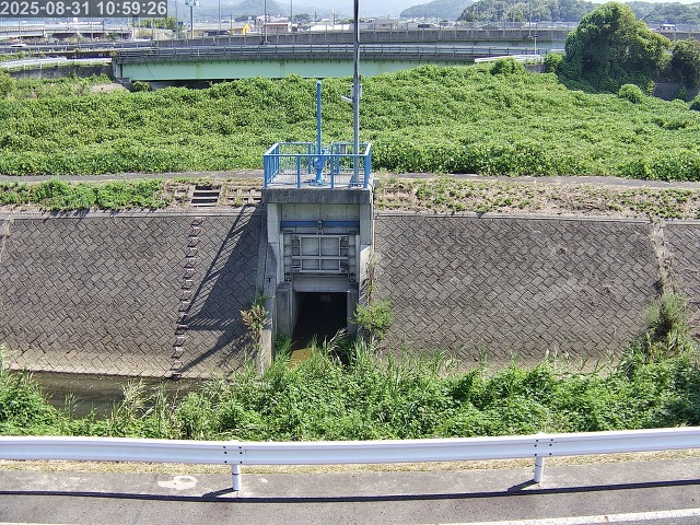 大路川４2025/08/31 11:20:00