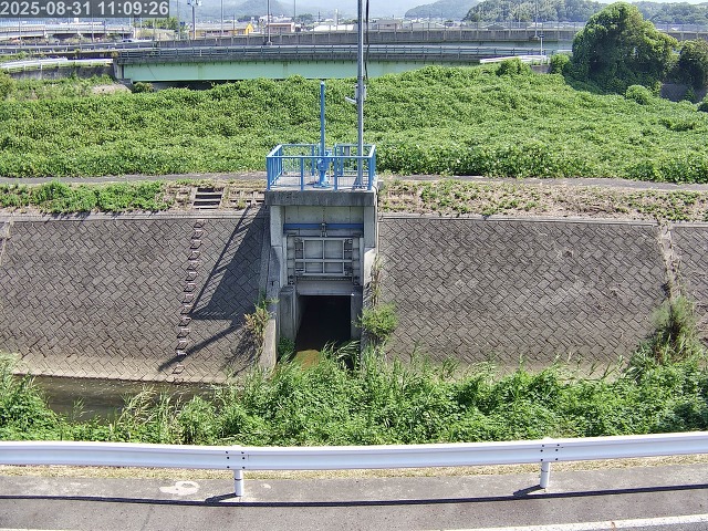 大路川４2025/08/31 11:20:00