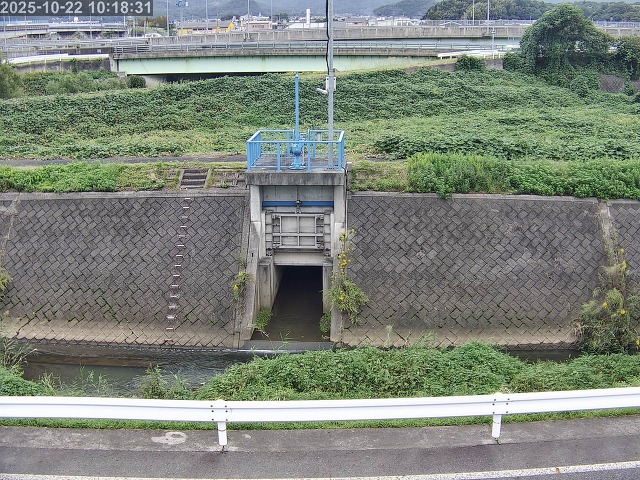 大路川４2025/10/22 11:20:00