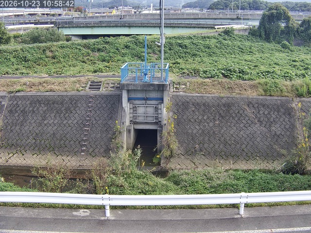 大路川４2026/10/24 9:30:00
