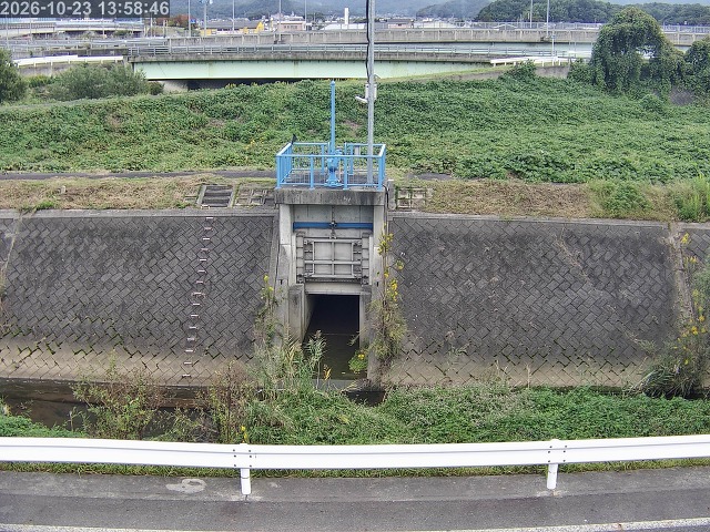 大路川４2026/10/24 9:30:00