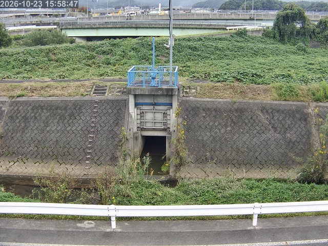 大路川４2026/10/24 9:30:00