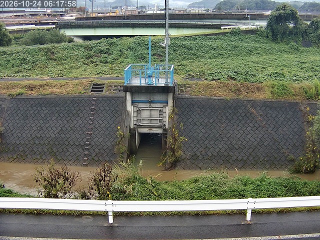 大路川４2026/10/24 9:30:00