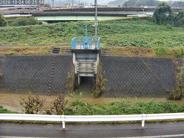 大路川４2026/10/24 9:30:00