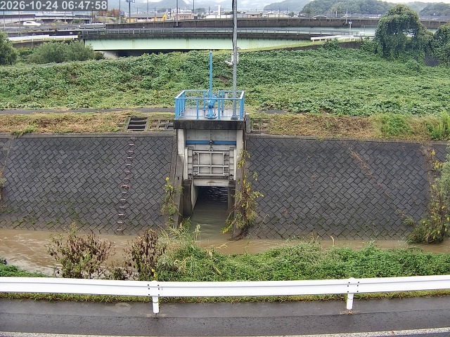 大路川４2026/10/24 9:30:00