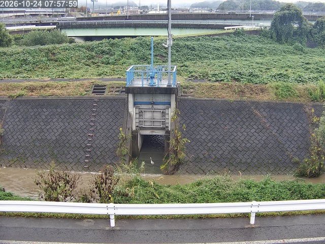 大路川４2026/10/24 9:30:00
