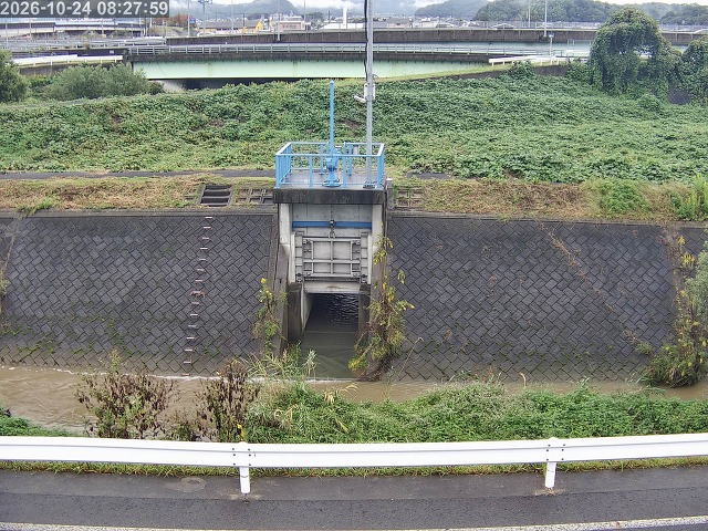 大路川４2026/10/24 9:30:00