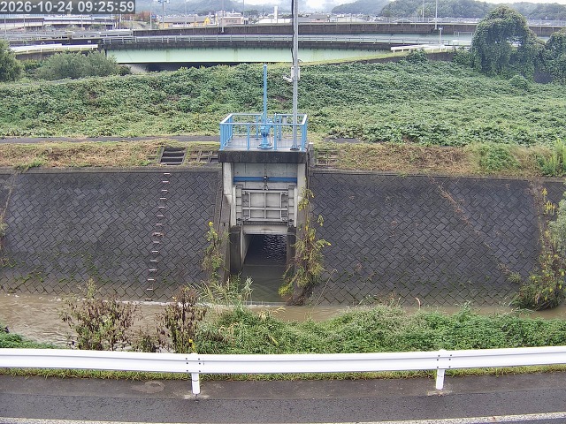 大路川４2026/10/24 9:30:00