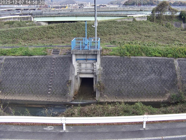 大路川４2025/12/08 11:30:00