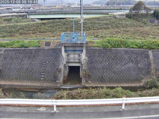 大路川４2025/12/08 11:30:00