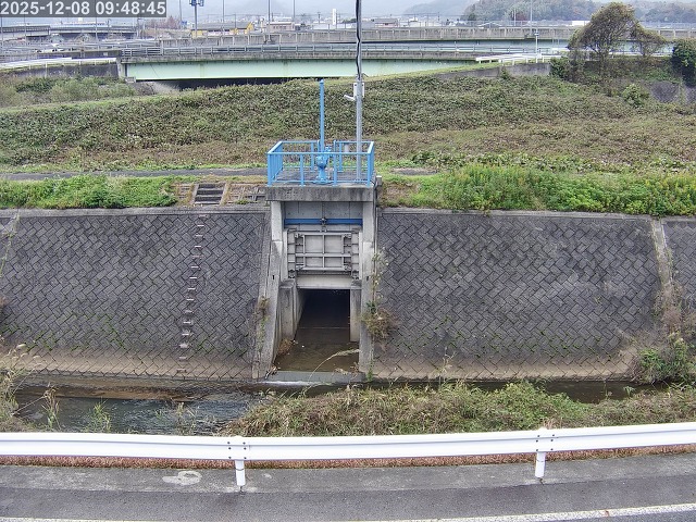 大路川４2025/12/08 11:30:00