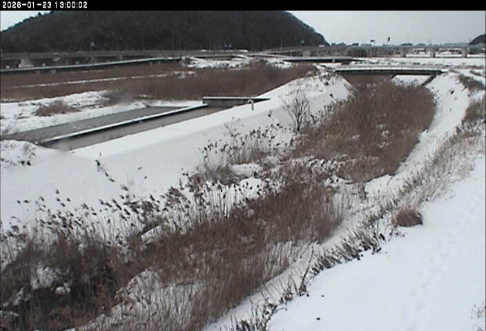 砂田川放水路１2026/01/24 1:50:00