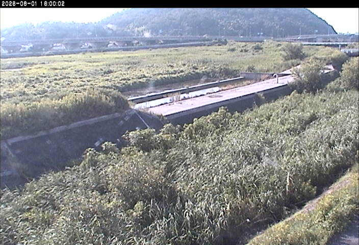 砂田川放水路１2026/08/01 20:50:00