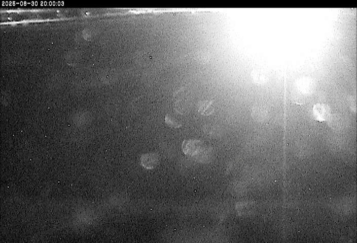 砂田川放水路１2025/08/31 9:10:00