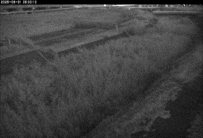 砂田川放水路１2025/08/31 9:10:00