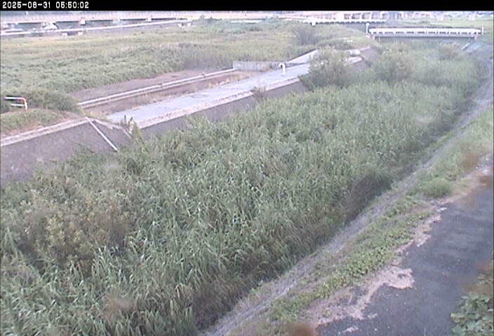 砂田川放水路１2025/08/31 9:10:00