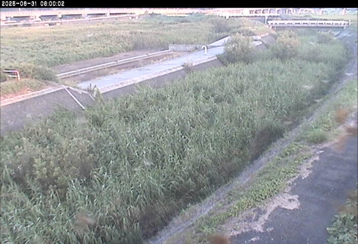 砂田川放水路１2025/08/31 9:10:00