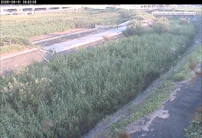 砂田川放水路１2025/08/31 9:10:00