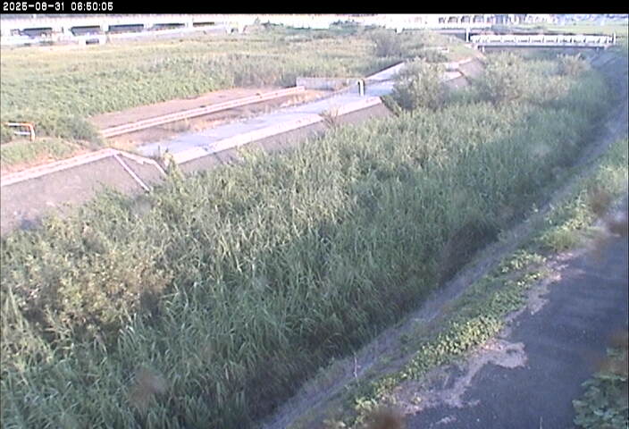 砂田川放水路１2025/08/31 9:10:00