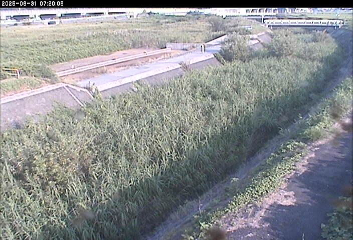 砂田川放水路１2025/08/31 9:10:00