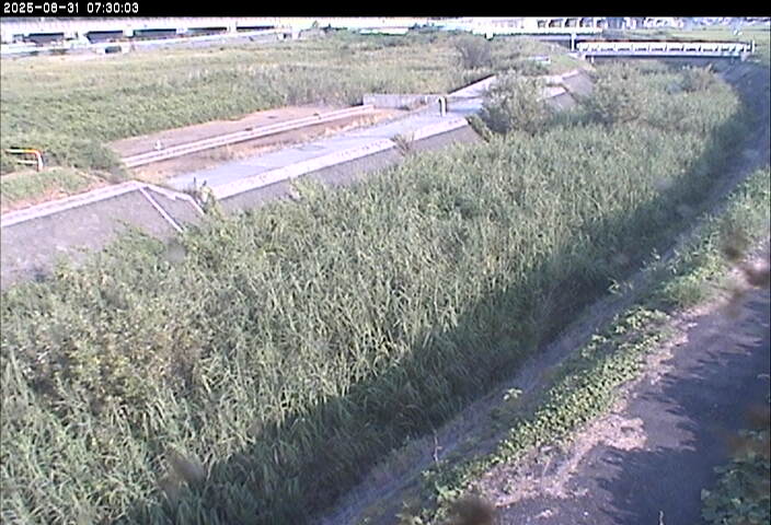 砂田川放水路１2025/08/31 9:10:00