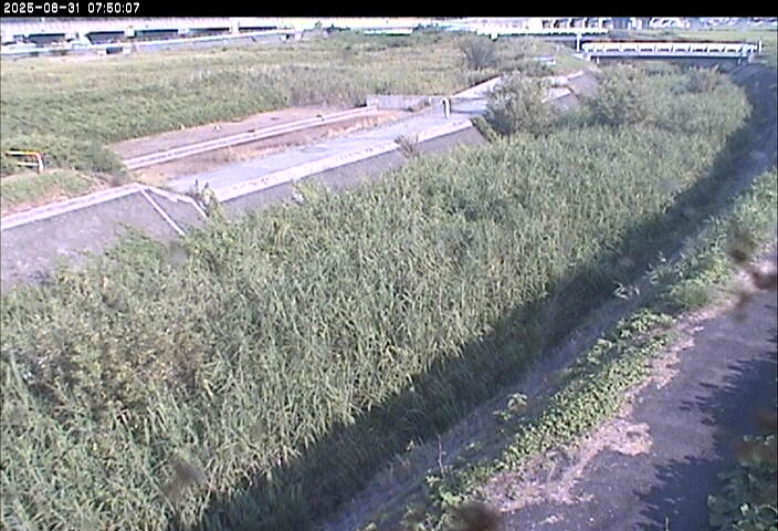 砂田川放水路１2025/08/31 9:10:00