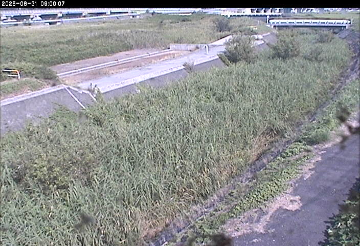 砂田川放水路１2025/08/31 9:10:00