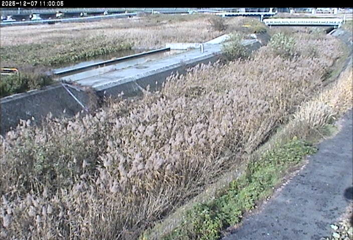 砂田川放水路１2025/12/08 11:30:00