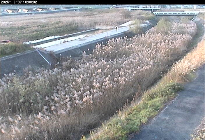 砂田川放水路１2025/12/08 11:30:00