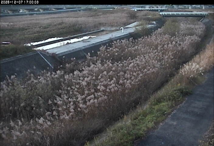 砂田川放水路１2025/12/08 11:30:00