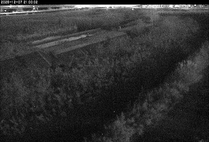 砂田川放水路１2025/12/08 11:30:00