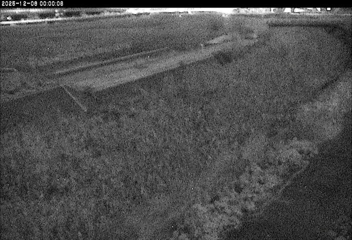 砂田川放水路１2025/12/08 11:30:00