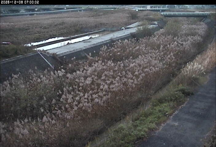 砂田川放水路１2025/12/08 11:30:00