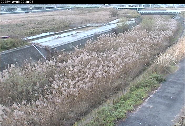 砂田川放水路１2025/12/08 11:30:00