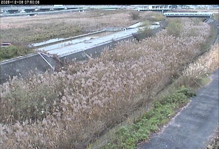 砂田川放水路１2025/12/08 11:30:00