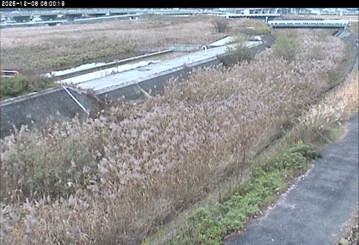 砂田川放水路１2025/12/08 11:30:00