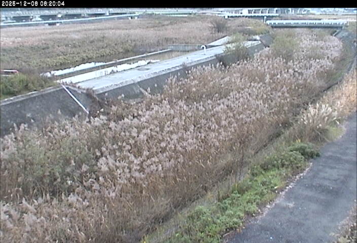 砂田川放水路１2025/12/08 11:30:00