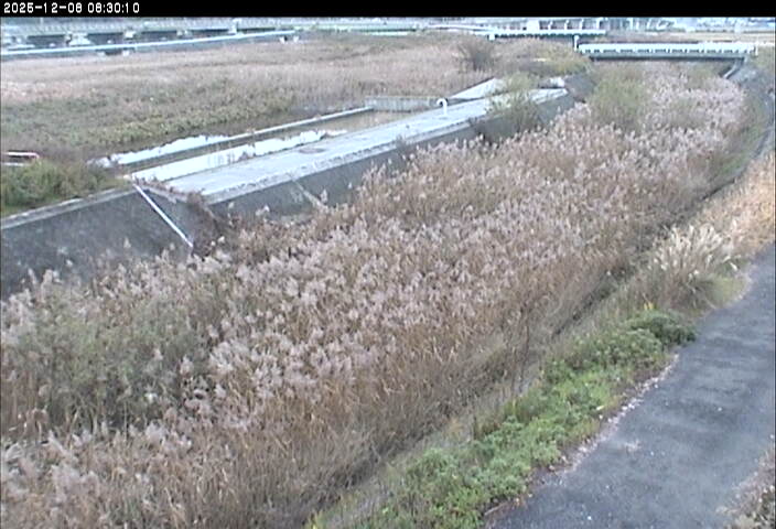 砂田川放水路１2025/12/08 11:30:00
