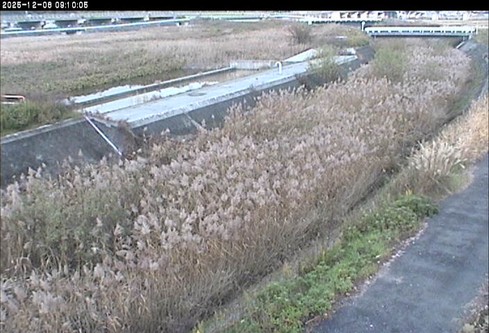 砂田川放水路１2025/12/08 11:30:00