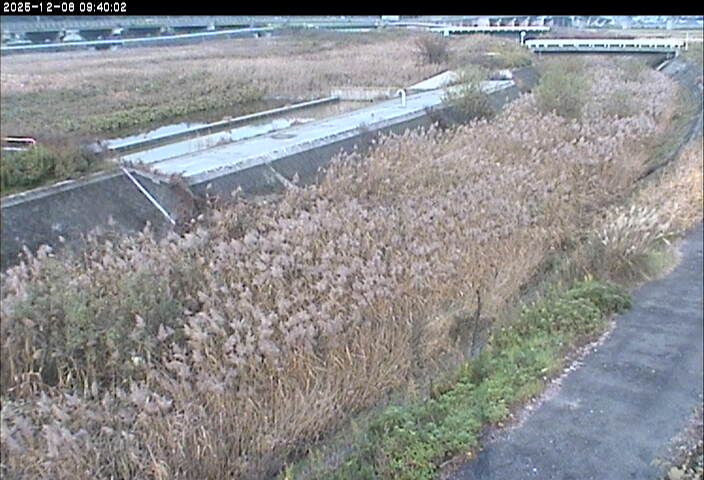 砂田川放水路１2025/12/08 11:30:00