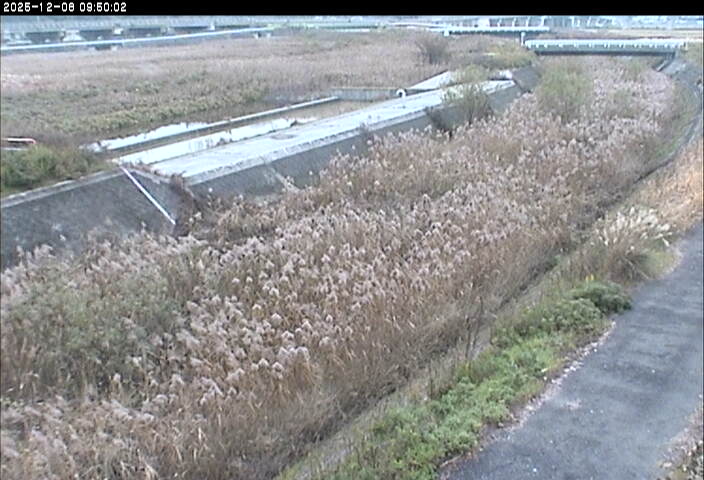 砂田川放水路１2025/12/08 11:30:00