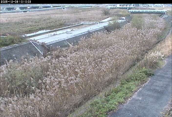 砂田川放水路１2025/12/08 11:30:00
