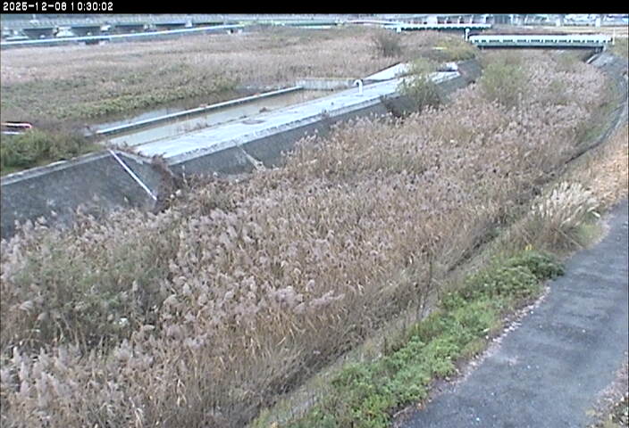 砂田川放水路１2025/12/08 11:30:00